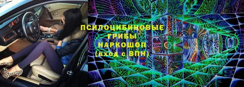 Псилоцибиновые грибы Cubensis  Соликамск 